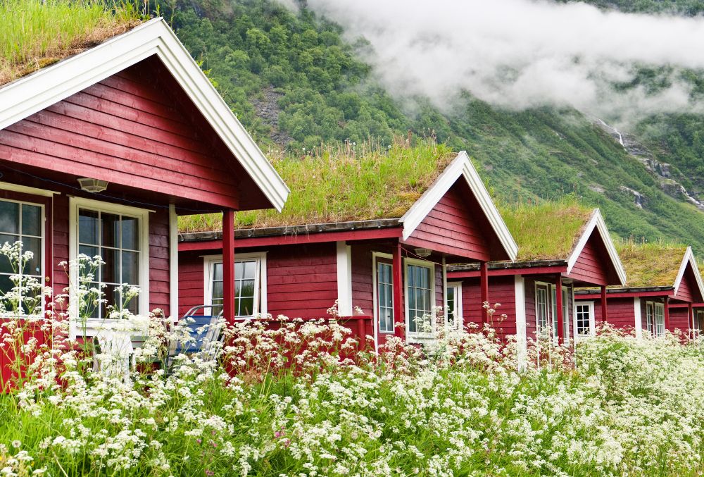 houses with green roof